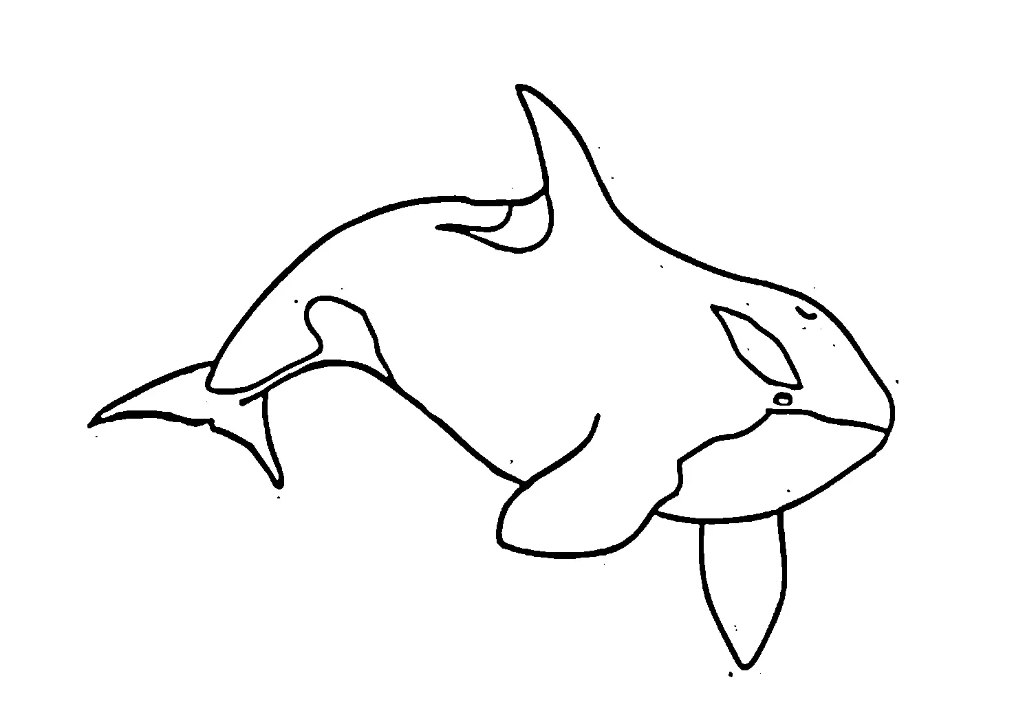 paus Black and white pictures coloring book 020